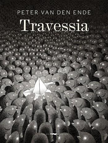 TRAVESSIA | 9788412078947 | VAN DEN ENDE, PETER | Llibreria La Font de Mimir - Llibreria online Barcelona - Comprar llibres català i castellà