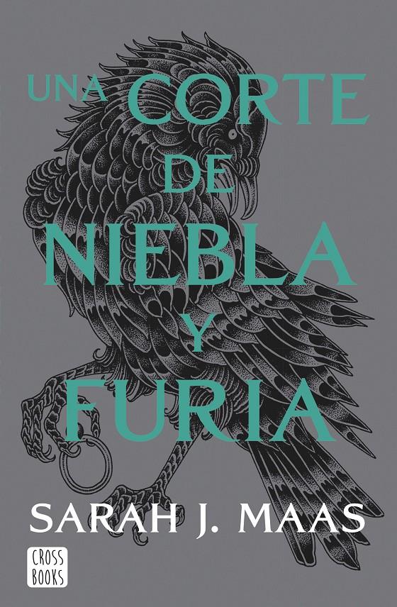 UNA CORTE DE NIEBLA Y FURIA. NUEVA PRESENTACIÓN | 9788408257110 | MAAS, SARAH J. | Llibreria La Font de Mimir - Llibreria online Barcelona - Comprar llibres català i castellà