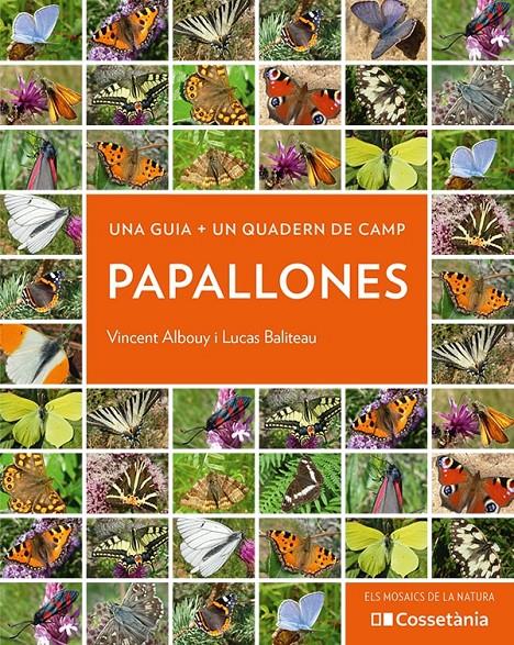 PAPALLONES | 9788413560540 | ALBOUY, VINCENT/BALITEAU, LUCAS | Llibreria La Font de Mimir - Llibreria online Barcelona - Comprar llibres català i castellà