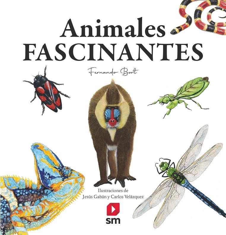 ANIMALES FASCINANTES | 9788413922188 | BORT MISOL, FERNANDO | Llibreria La Font de Mimir - Llibreria online Barcelona - Comprar llibres català i castellà