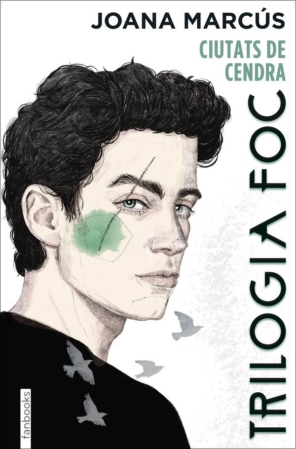 TRILOGIA FOC 2: CIUTATS DE CENDRA | 9788418327988 | MARCÚS, JOANA | Llibreria La Font de Mimir - Llibreria online Barcelona - Comprar llibres català i castellà