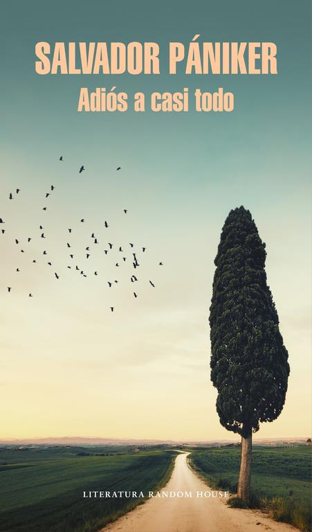 ADIÓS A CASI TODO (DIARIOS DE PÁNIKER 5) | 9788439732693 | PANIKER, SALVADOR | Llibreria La Font de Mimir - Llibreria online Barcelona - Comprar llibres català i castellà