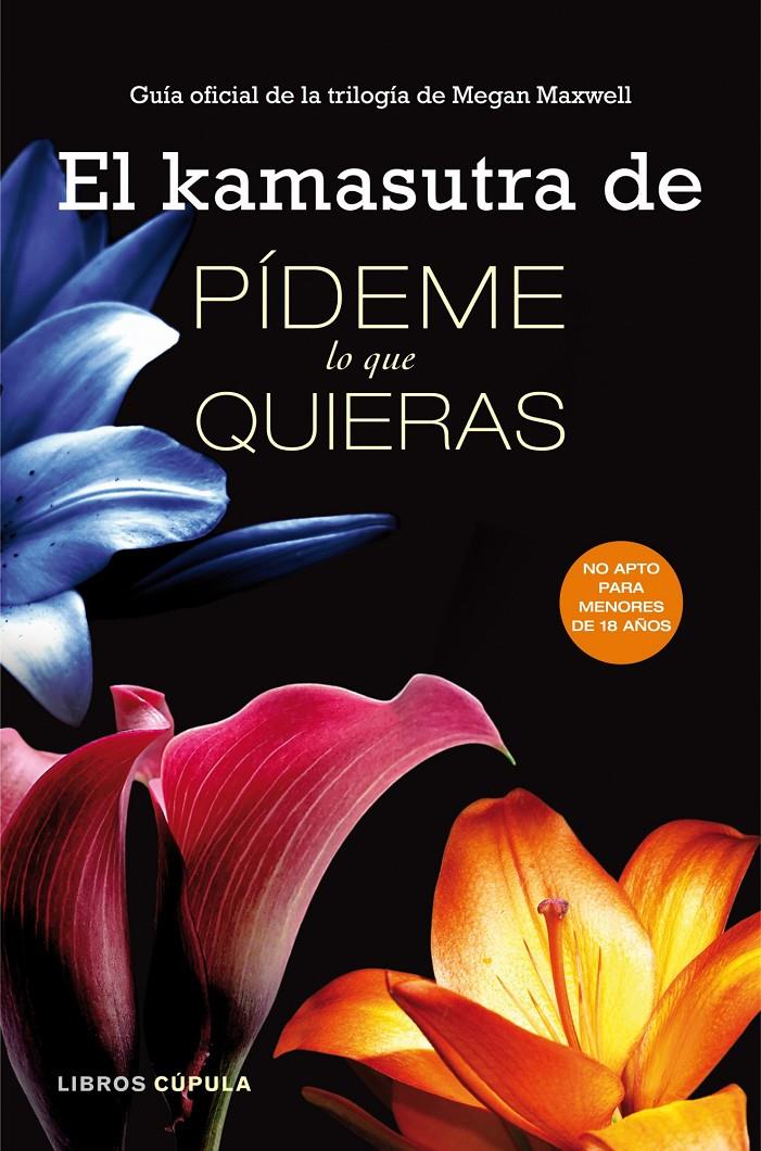 EL KAMASUTRA DE PÍDEME LO QUE QUIERAS | 9788448018290 | VV.AA. | Llibreria La Font de Mimir - Llibreria online Barcelona - Comprar llibres català i castellà
