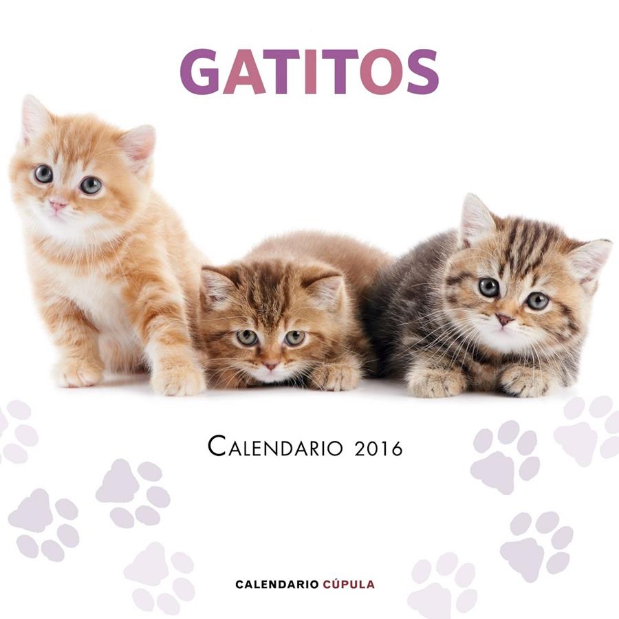 CALENDARIO GATITOS 2016 | 9788448021719 | AA. VV. | Llibreria La Font de Mimir - Llibreria online Barcelona - Comprar llibres català i castellà