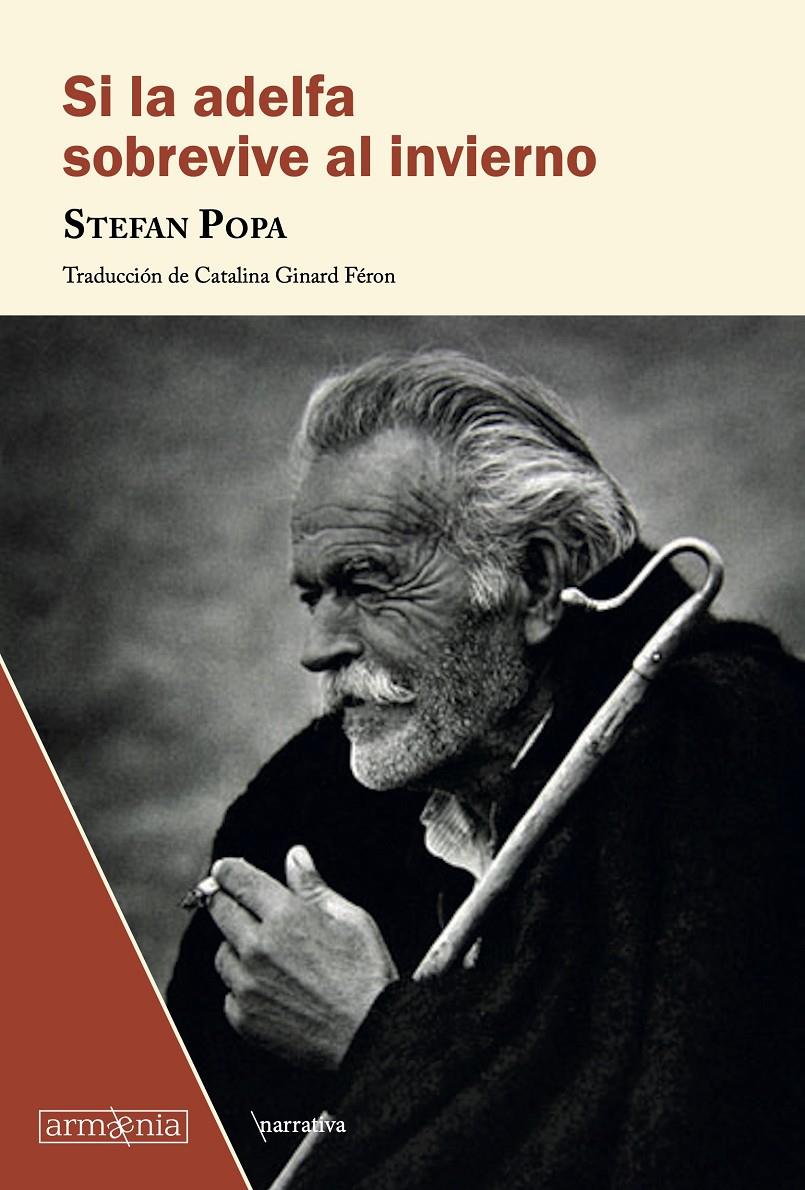 SI LA ADELFA SOBREVIVE AL INVIERNO | 9788412227628 | POPA, STEFAN | Llibreria La Font de Mimir - Llibreria online Barcelona - Comprar llibres català i castellà