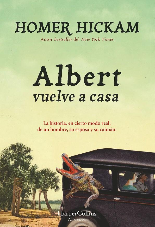 ALBERT VUELVE A CASA | 9788416502165 | HICKAM, HOMER | Llibreria La Font de Mimir - Llibreria online Barcelona - Comprar llibres català i castellà