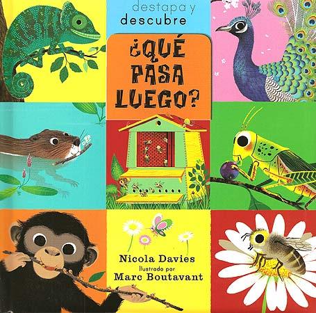 QUÈ PASSARÀ? | 9788426139979 | DAVIES, NICOLA | Llibreria La Font de Mimir - Llibreria online Barcelona - Comprar llibres català i castellà