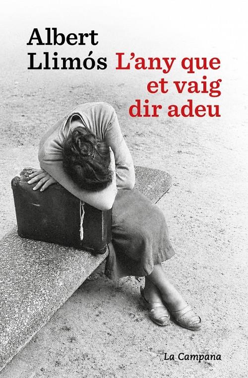 L'ANY QUE ET VAIG DIR ADEU | 9791387564452 | LLIMÓS, ALBERT | Llibreria La Font de Mimir - Llibreria online Barcelona - Comprar llibres català i castellà