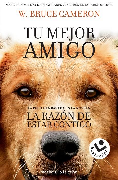 LA RAZÓN DE ESTAR CONTIGO | 9788416240920 | CAMERON, W. BRUCE | Llibreria La Font de Mimir - Llibreria online Barcelona - Comprar llibres català i castellà