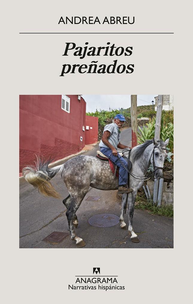 PAJARITOS PREÑADOS | 9788433950819 | ABREU, ANDREA | Llibreria La Font de Mimir - Llibreria online Barcelona - Comprar llibres català i castellà