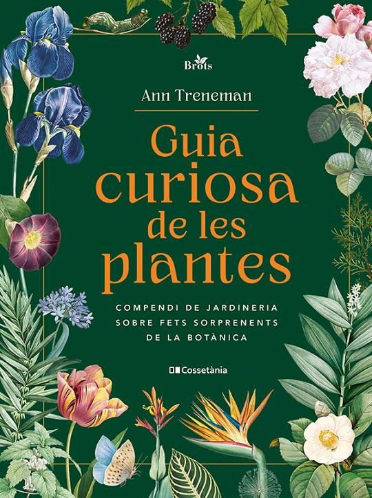 GUIA CURIOSA DE LES PLANTES | 9788413565354 | TRENEMAN, ANN | Llibreria La Font de Mimir - Llibreria online Barcelona - Comprar llibres català i castellà