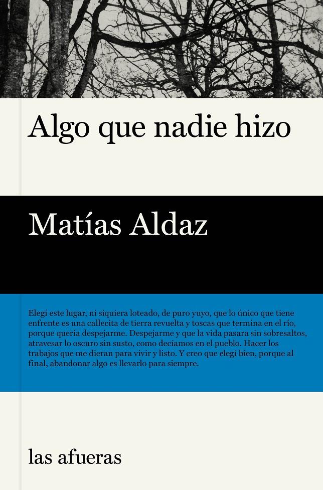 ALGO QUE NADIE HIZO | 9791399131116 | ALDAZ, MATÍAS | Llibreria La Font de Mimir - Llibreria online Barcelona - Comprar llibres català i castellà