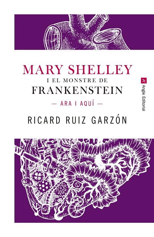 MARY SHELLEY I EL MONSTRE DE FRANKENSTEIN. | 9788417214227 | RUIZ GARZÓN, RICARD | Llibreria La Font de Mimir - Llibreria online Barcelona - Comprar llibres català i castellà