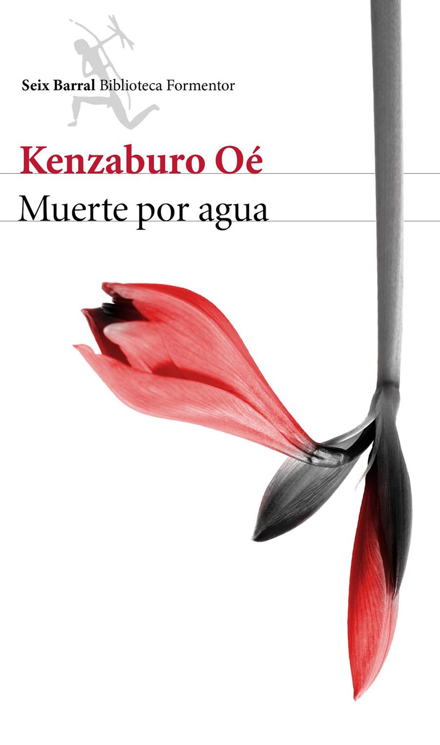 MUERTE POR AGUA | 9788432224041 | KENZABURO OÉ | Llibreria La Font de Mimir - Llibreria online Barcelona - Comprar llibres català i castellà