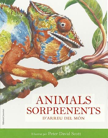 ANIMALS SORPRENENTS DEL MÓN | 9788426138712 | DAVID SCOTT, PETER | Llibreria La Font de Mimir - Llibreria online Barcelona - Comprar llibres català i castellà