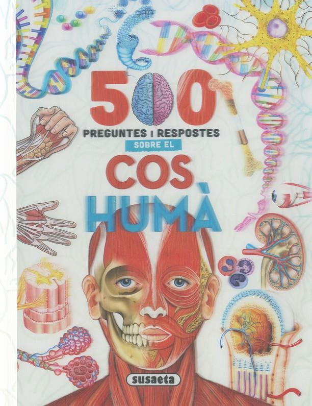 500 PREGUNTES I RESPOSTES SOBRE EL COS HUMÀ | 9788411967211 | SUSAETA, EQUIPO | Llibreria La Font de Mimir - Llibreria online Barcelona - Comprar llibres català i castellà
