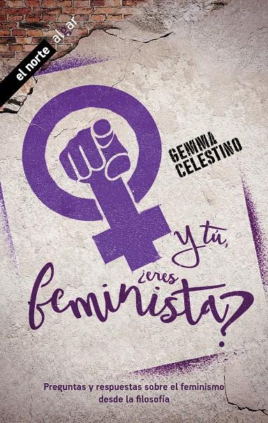 Y TÚ, ¿ERES FEMINISTA? | 9788491424390 | CELESTINO FERNÁNDEZ, GEMMA | Llibreria La Font de Mimir - Llibreria online Barcelona - Comprar llibres català i castellà