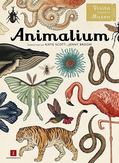 ANIMALIUM | 9788415979463 | Llibreria La Font de Mimir - Llibreria online Barcelona - Comprar llibres català i castellà