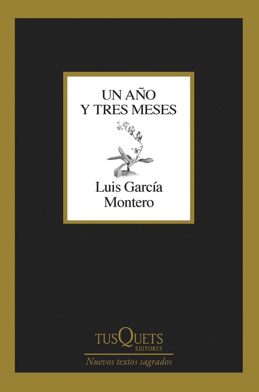 UN AÑO Y TRES MESES | 9788411071475 | GARCÍA MONTERO, LUIS | Llibreria La Font de Mimir - Llibreria online Barcelona - Comprar llibres català i castellà
