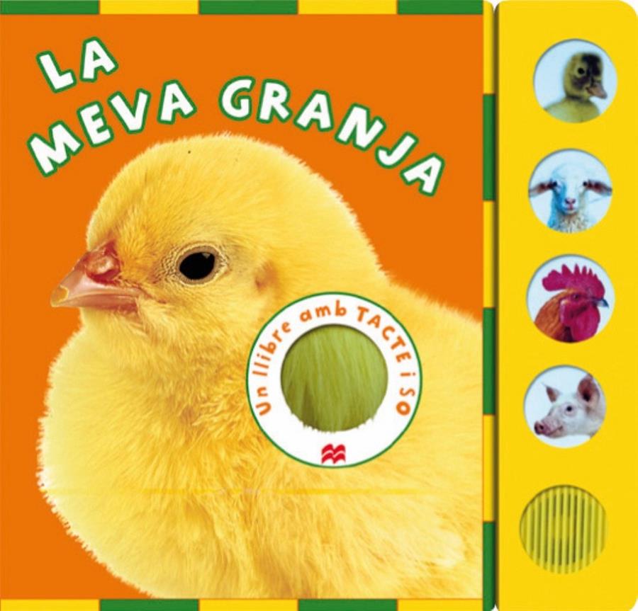 LA MEVA GRANJA | 9788479429041 | AUZOU, PHILIPPE | Llibreria La Font de Mimir - Llibreria online Barcelona - Comprar llibres català i castellà