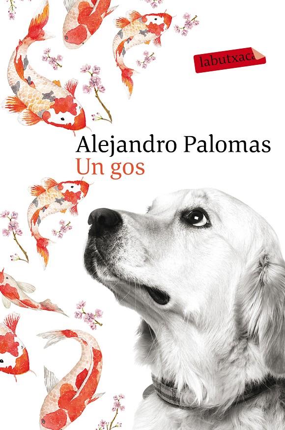 UN GOS | 9788416600625 | ALEJANDRO PALOMAS | Llibreria La Font de Mimir - Llibreria online Barcelona - Comprar llibres català i castellà