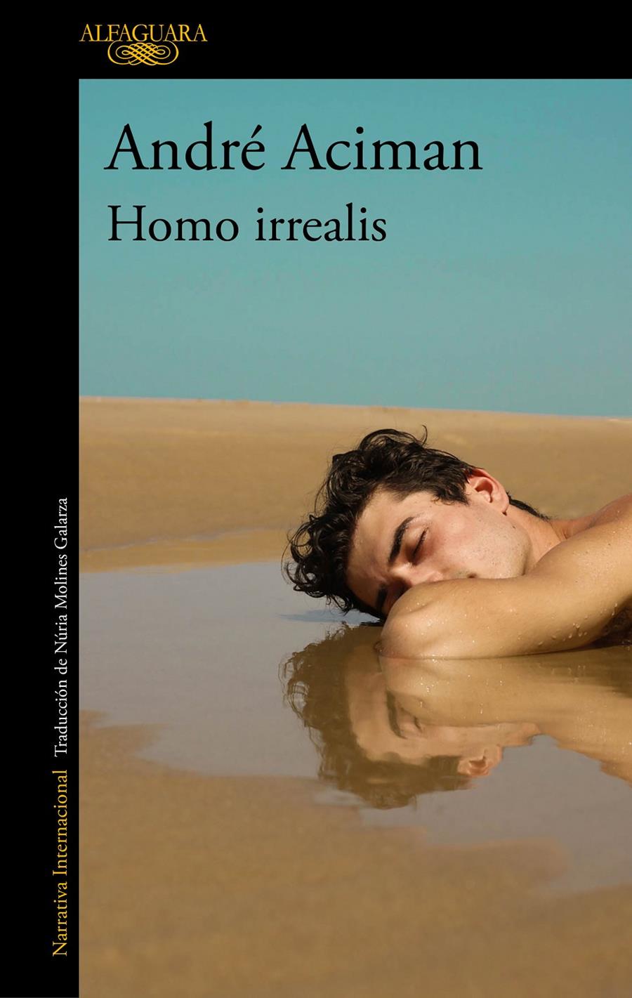 HOMO IRREALIS | 9788420465159 | ACIMAN, ANDRÉ | Llibreria La Font de Mimir - Llibreria online Barcelona - Comprar llibres català i castellà