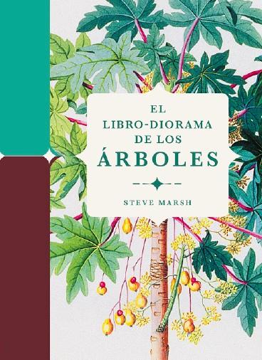 EL LIBRO-DIORAMA DE LOS ÁRBOLES | 9788412386196 | MARSH, STEVE | Llibreria La Font de Mimir - Llibreria online Barcelona - Comprar llibres català i castellà