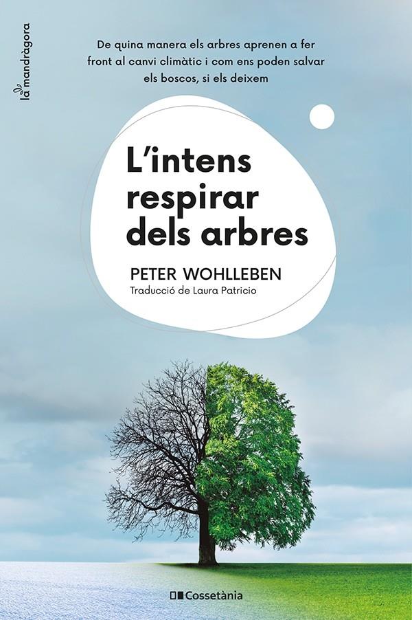 L'INTENS RESPIRAR DELS ARBRES | 9788413562087 | WOHLLEBEN, PETER | Llibreria La Font de Mimir - Llibreria online Barcelona - Comprar llibres català i castellà