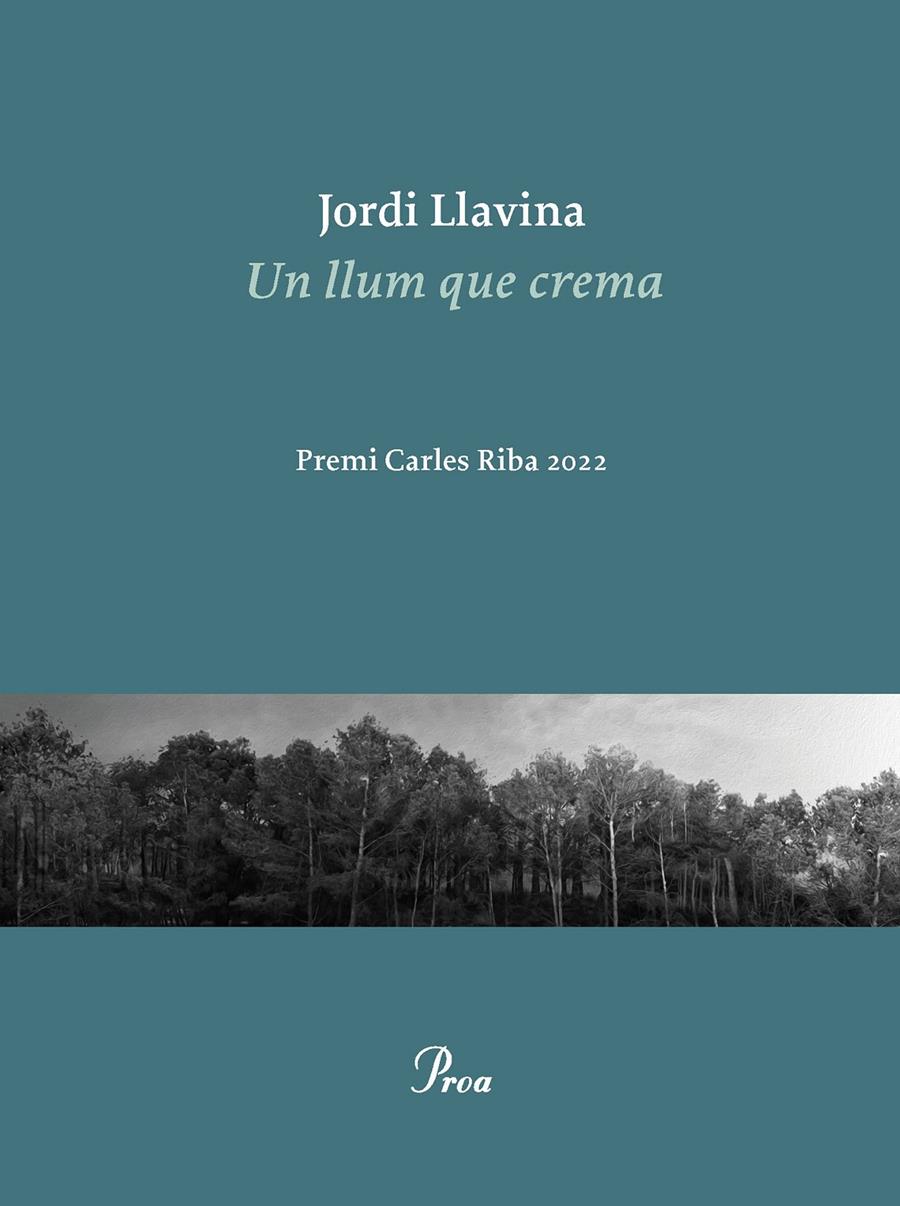 UN LLUM QUE CREMA | 9788475889979 | LLAVINA, JORDI | Llibreria La Font de Mimir - Llibreria online Barcelona - Comprar llibres català i castellà