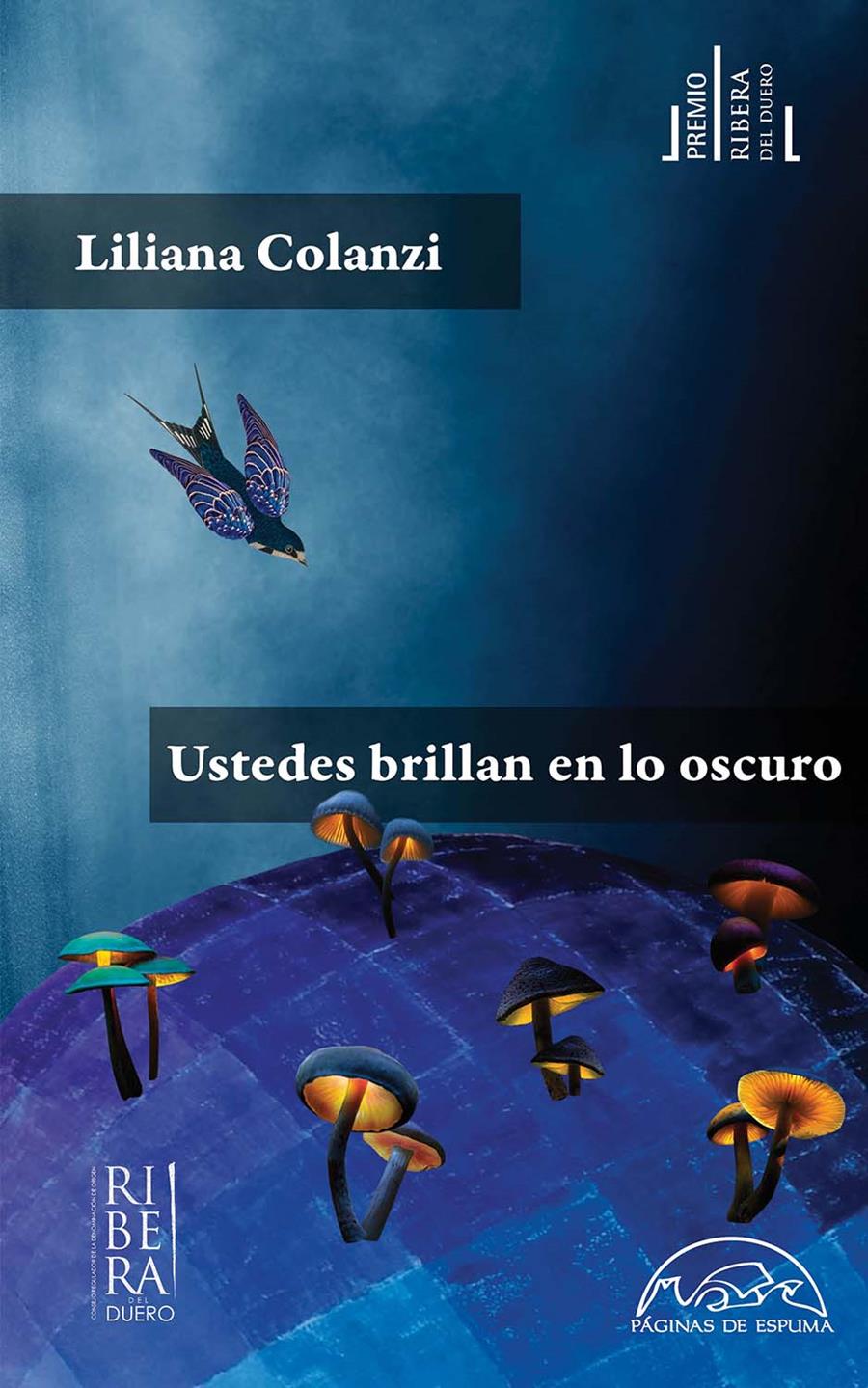 USTEDES BRILLAN EN LO OSCURO | 9788483933145 | COLANZI, LILIANA | Llibreria La Font de Mimir - Llibreria online Barcelona - Comprar llibres català i castellà