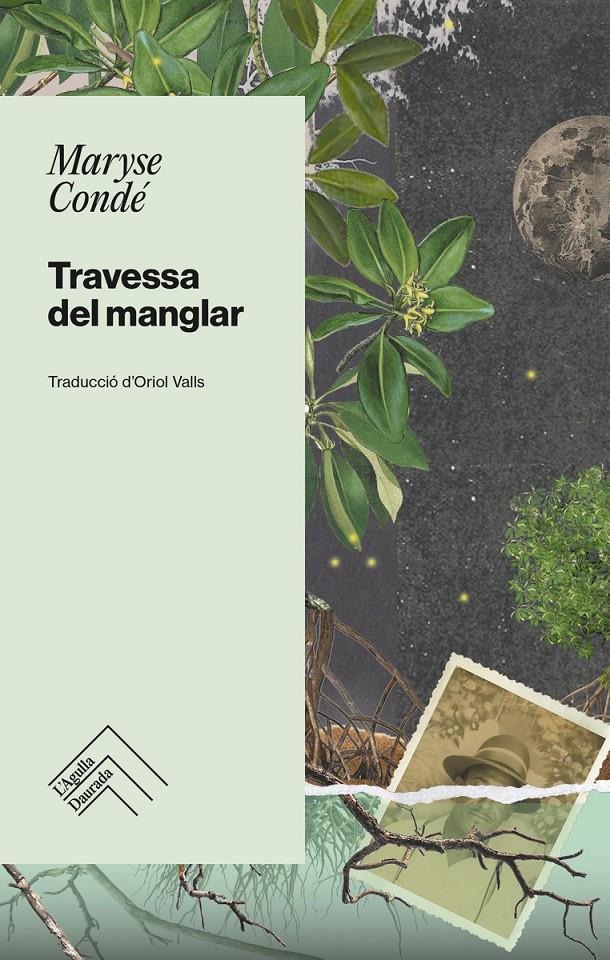 TRAVESSA DEL MANGLAR - CAT | 9788419515001 | CONDÉ, MARYSE | Llibreria La Font de Mimir - Llibreria online Barcelona - Comprar llibres català i castellà