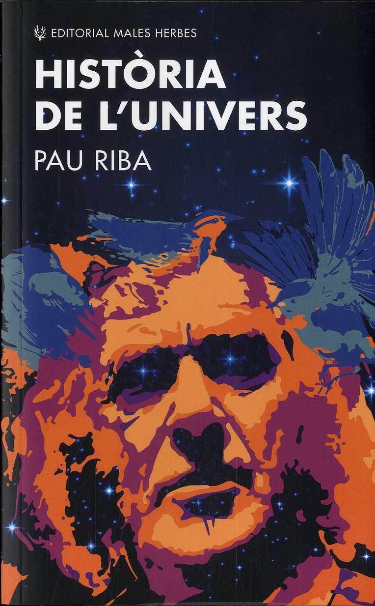 HISTÒRIA DE L'UNIVERS | 9788412216776 | RIBA, PAU | Llibreria La Font de Mimir - Llibreria online Barcelona - Comprar llibres català i castellà