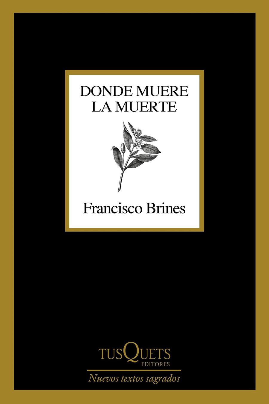 DONDE MUERE LA MUERTE | 9788411070188 | BRINES, FRANCISCO | Llibreria La Font de Mimir - Llibreria online Barcelona - Comprar llibres català i castellà