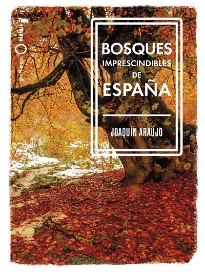 BOSQUES IMPRESCINDIBLES DE ESPAÑA | 9788408239529 | ARAÚJO, JOAQUÍN | Llibreria La Font de Mimir - Llibreria online Barcelona - Comprar llibres català i castellà
