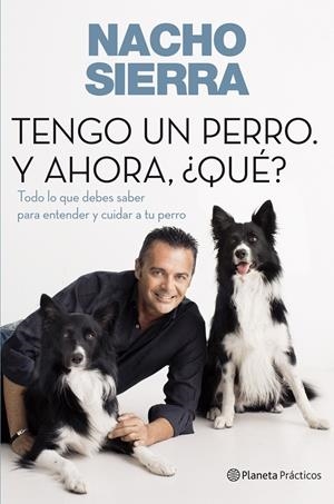 TODO LO QUE DEBES SABER SOBRE TU PERRO | 9788408109228 | NACHO SIERRA | Llibreria La Font de Mimir - Llibreria online Barcelona - Comprar llibres català i castellà