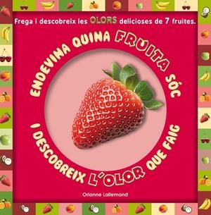 ENDEVINA QUINA FRUITA SOC | 9788479429409 | LALLEMAND, ORIANNE | Llibreria La Font de Mimir - Llibreria online Barcelona - Comprar llibres català i castellà