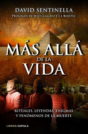 MÁS ALLÁ DE LA VIDA | 9788448069049 | DAVID SENTINELLA | Llibreria La Font de Mimir - Llibreria online Barcelona - Comprar llibres català i castellà