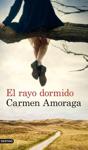 EL RAYO DORMIDO | 9788423327133 | CARMEN AMORAGA | Llibreria La Font de Mimir - Llibreria online Barcelona - Comprar llibres català i castellà