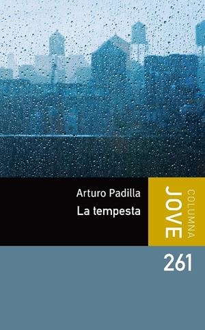 PÀNIC A LA PLUJA | 9788499323473 | ARTURO PADILLA DE JUAN | Llibreria La Font de Mimir - Llibreria online Barcelona - Comprar llibres català i castellà