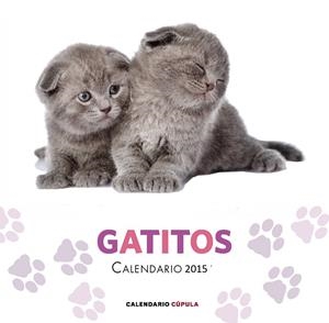 CALENDARIO GATITOS 2015 | 9788448019730 | AA. VV. | Llibreria La Font de Mimir - Llibreria online Barcelona - Comprar llibres català i castellà