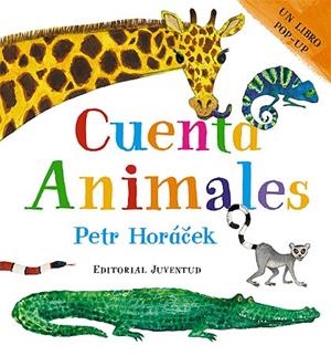 CUENTA ANIMALES | 9788426139115 | HORACEK, PETR | Llibreria La Font de Mimir - Llibreria online Barcelona - Comprar llibres català i castellà