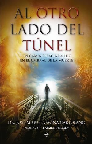 AL OTRO LADO DEL TÚNEL | 9788490600276 | GAONA, JOSÉ MIGUEL | Llibreria La Font de Mimir - Llibreria online Barcelona - Comprar llibres català i castellà