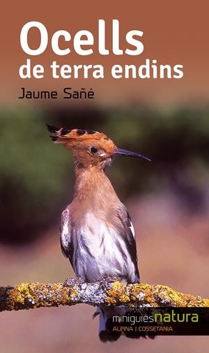 OCELLS TERRA ENDINS | 9788490343357 | SAÑÉ, JAUME | Llibreria La Font de Mimir - Llibreria online Barcelona - Comprar llibres català i castellà