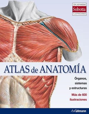 ATLAS DE ANATOMIA | 9783848009152 | Llibreria La Font de Mimir - Llibreria online Barcelona - Comprar llibres català i castellà