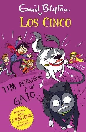TIM PERSIGUE UN GATO | 9788426142122 | BLYTON, ENID | Llibreria La Font de Mimir - Llibreria online Barcelona - Comprar llibres català i castellà