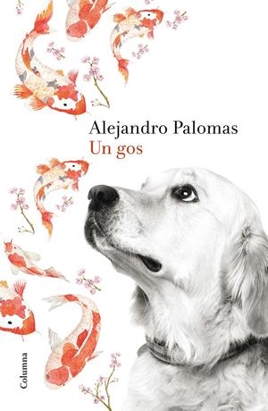 UN GOS | 9788466420426 | ALEJANDRO PALOMAS | Llibreria La Font de Mimir - Llibreria online Barcelona - Comprar llibres català i castellà