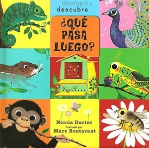 QUÈ PASSARÀ? | 9788426139979 | DAVIES, NICOLA | Llibreria La Font de Mimir - Llibreria online Barcelona - Comprar llibres català i castellà