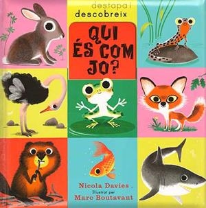 QUI ES COM JO? | 9788426139108 | DAVIES, NICOLA | Llibreria La Font de Mimir - Llibreria online Barcelona - Comprar llibres català i castellà