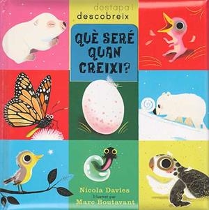 QUE SERE QUAN CREIXI? | 9788426139085 | DAVIES, NICOLA | Llibreria La Font de Mimir - Llibreria online Barcelona - Comprar llibres català i castellà