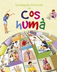 ENCICLOPEDIA ILUSTRADA DEL CUERPO HUMANO | 9788490374436 | Llibreria La Font de Mimir - Llibreria online Barcelona - Comprar llibres català i castellà